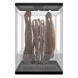 Biltong King Biltong Maker